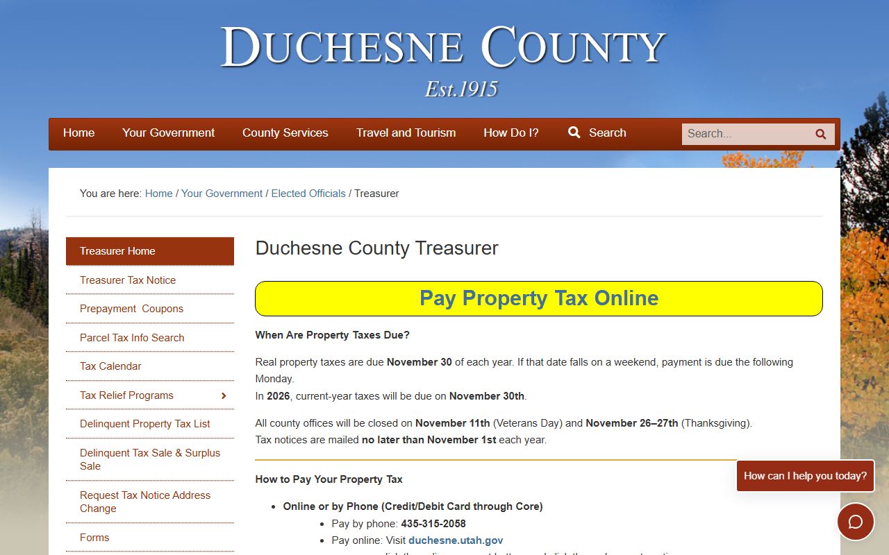 Duchesne County Treasurer website for property tax payments